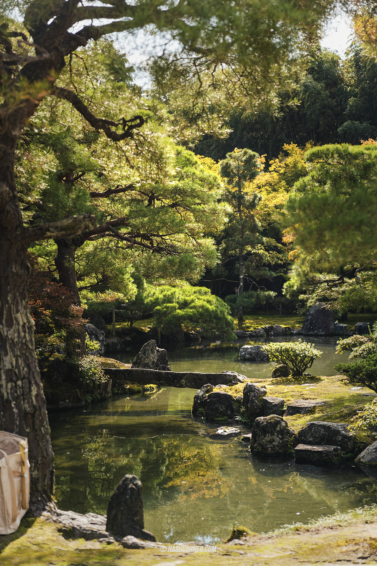 รีวิว เกียวโต (Kyoto) x ญี่ปุ่น เก็บครบ 26 ที่เที่ยว