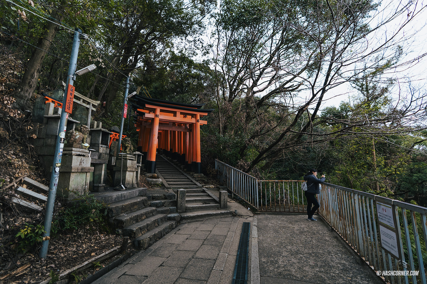 รีวิว เกียวโต (Kyoto) x ญี่ปุ่น เก็บครบ 26 ที่เที่ยว