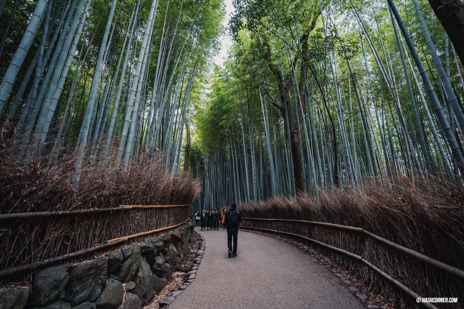 รีวิว เกียวโต (Kyoto) x คันไซ เที่ยวญี่ปุ่นไม่เคยเบื่อ