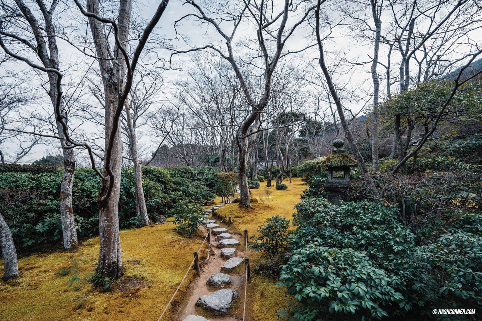 รีวิว เกียวโต (Kyoto) x คันไซ เที่ยวญี่ปุ่นไม่เคยเบื่อ