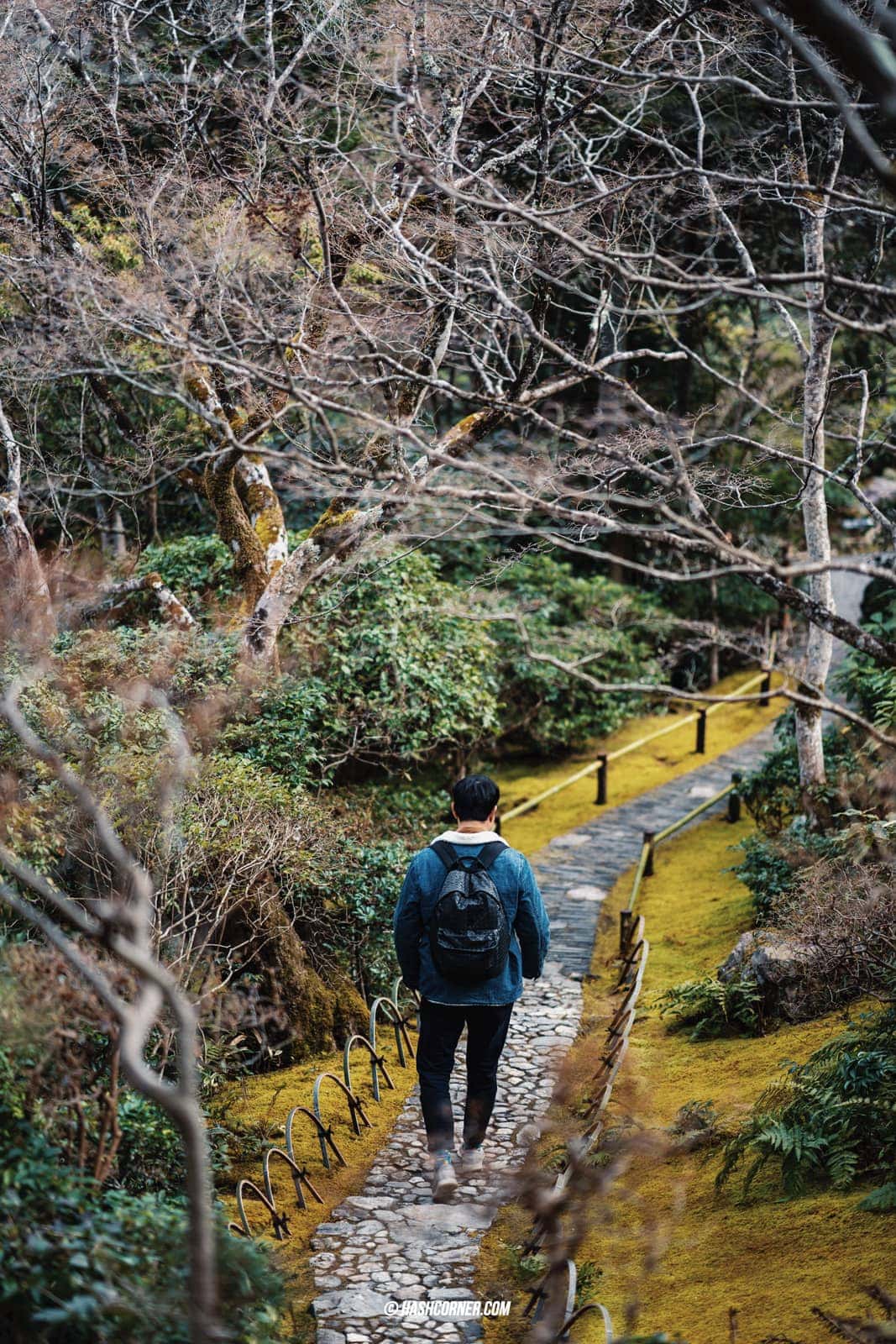 รีวิว เกียวโต (Kyoto) x คันไซ เที่ยวญี่ปุ่นไม่เคยเบื่อ
