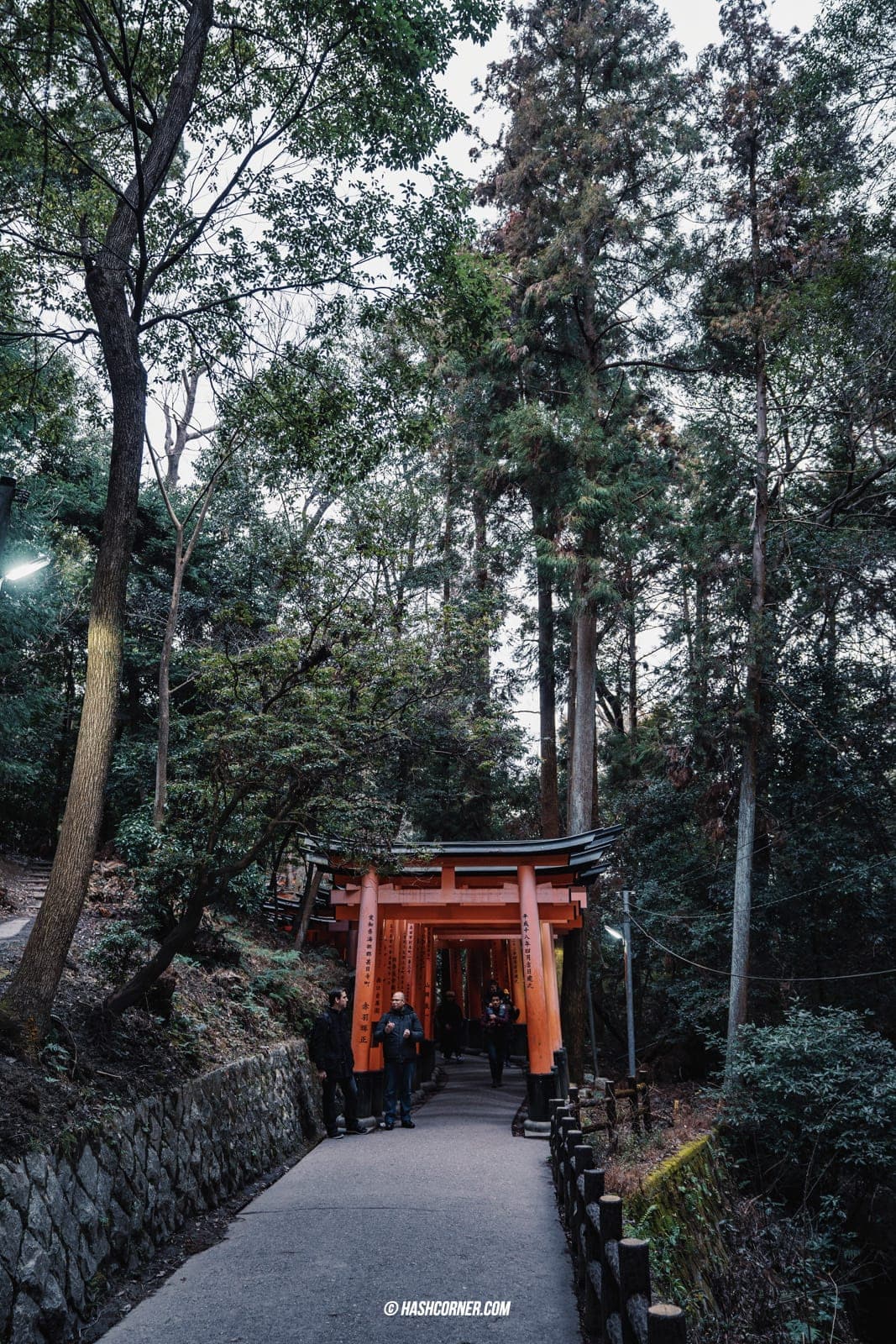 รีวิว เกียวโต (Kyoto) x คันไซ เที่ยวญี่ปุ่นไม่เคยเบื่อ
