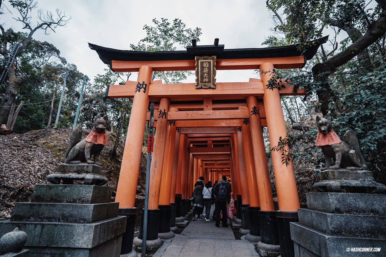 รีวิว เกียวโต (Kyoto) x คันไซ เที่ยวญี่ปุ่นไม่เคยเบื่อ