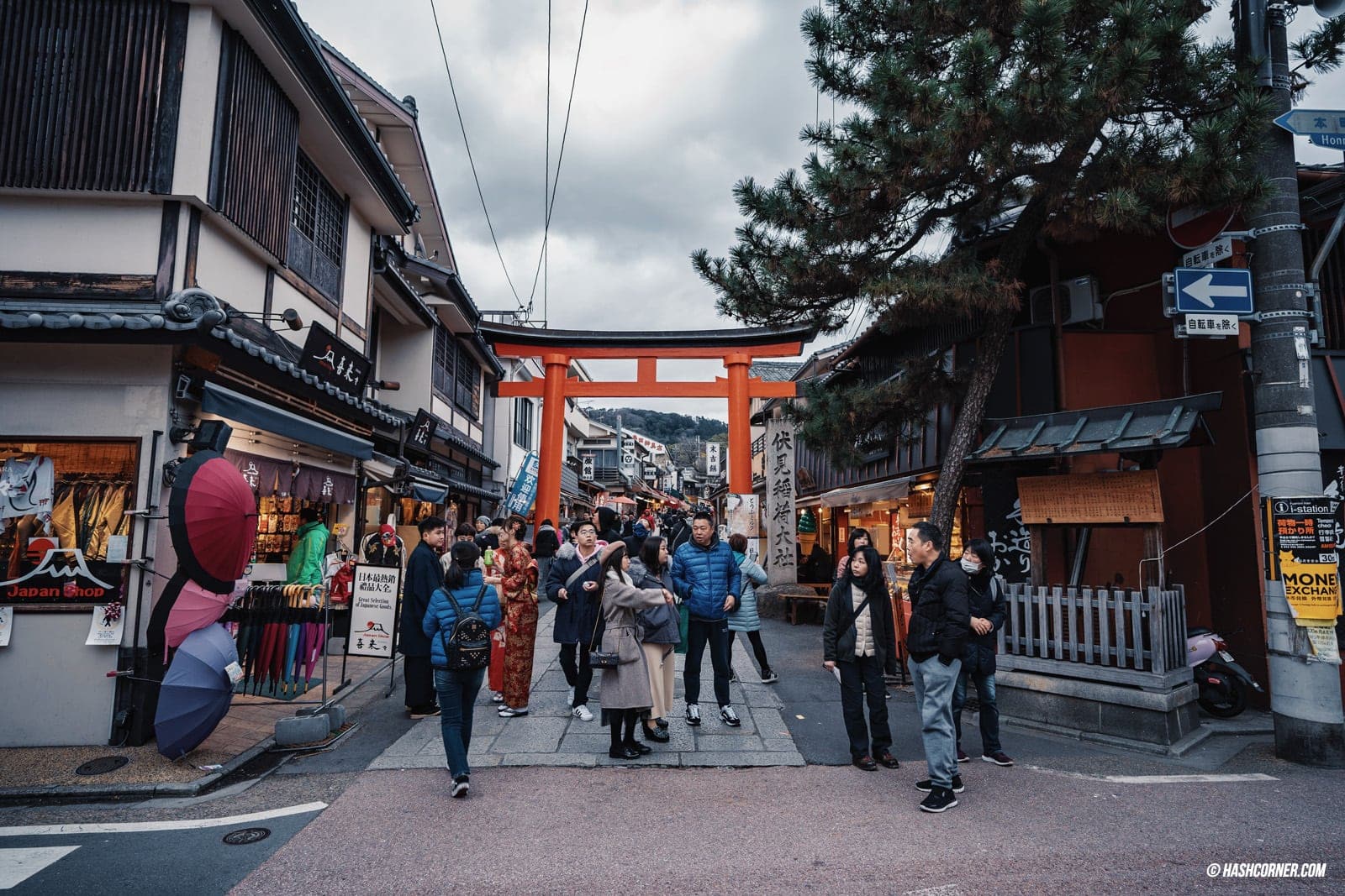 รีวิว เกียวโต (Kyoto) x คันไซ เที่ยวญี่ปุ่นไม่เคยเบื่อ
