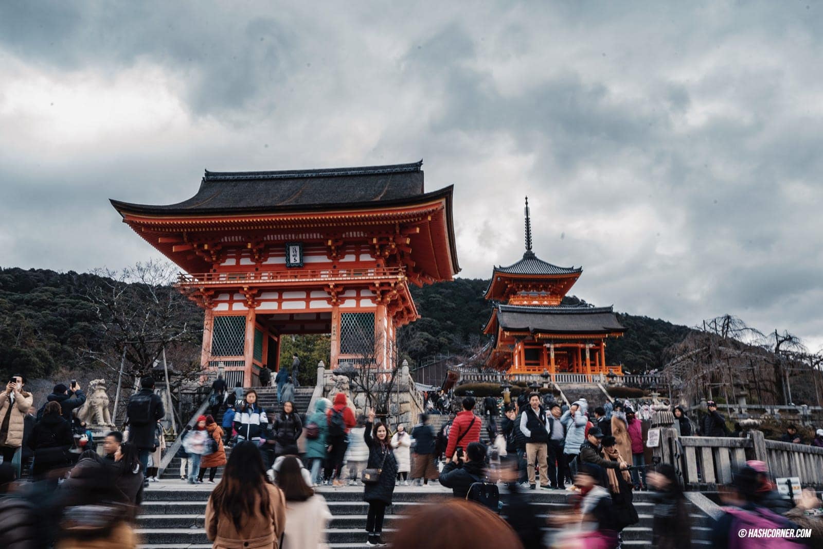 รีวิว เกียวโต (Kyoto) x คันไซ เที่ยวญี่ปุ่นไม่เคยเบื่อ