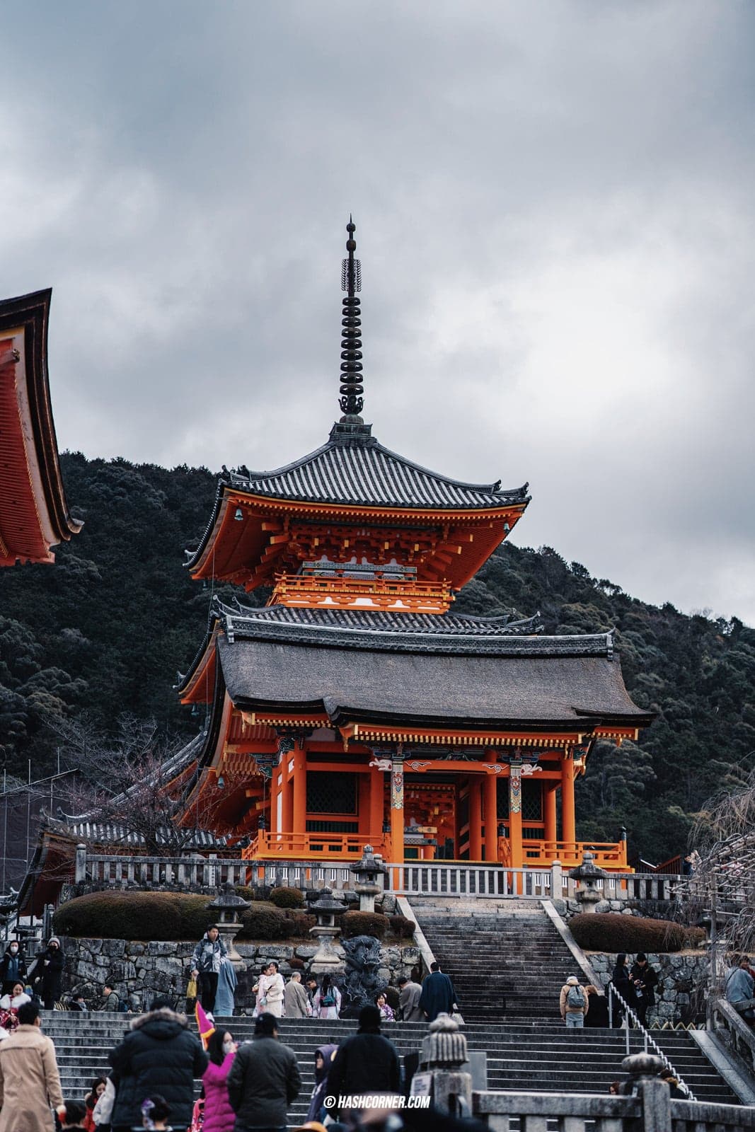 รีวิว เกียวโต (Kyoto) x คันไซ เที่ยวญี่ปุ่นไม่เคยเบื่อ