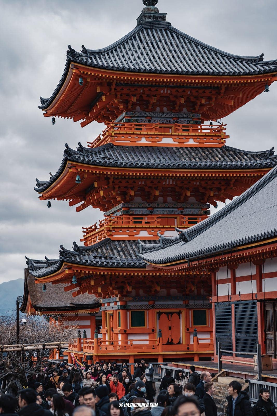 รีวิว เกียวโต (Kyoto) x คันไซ เที่ยวญี่ปุ่นไม่เคยเบื่อ