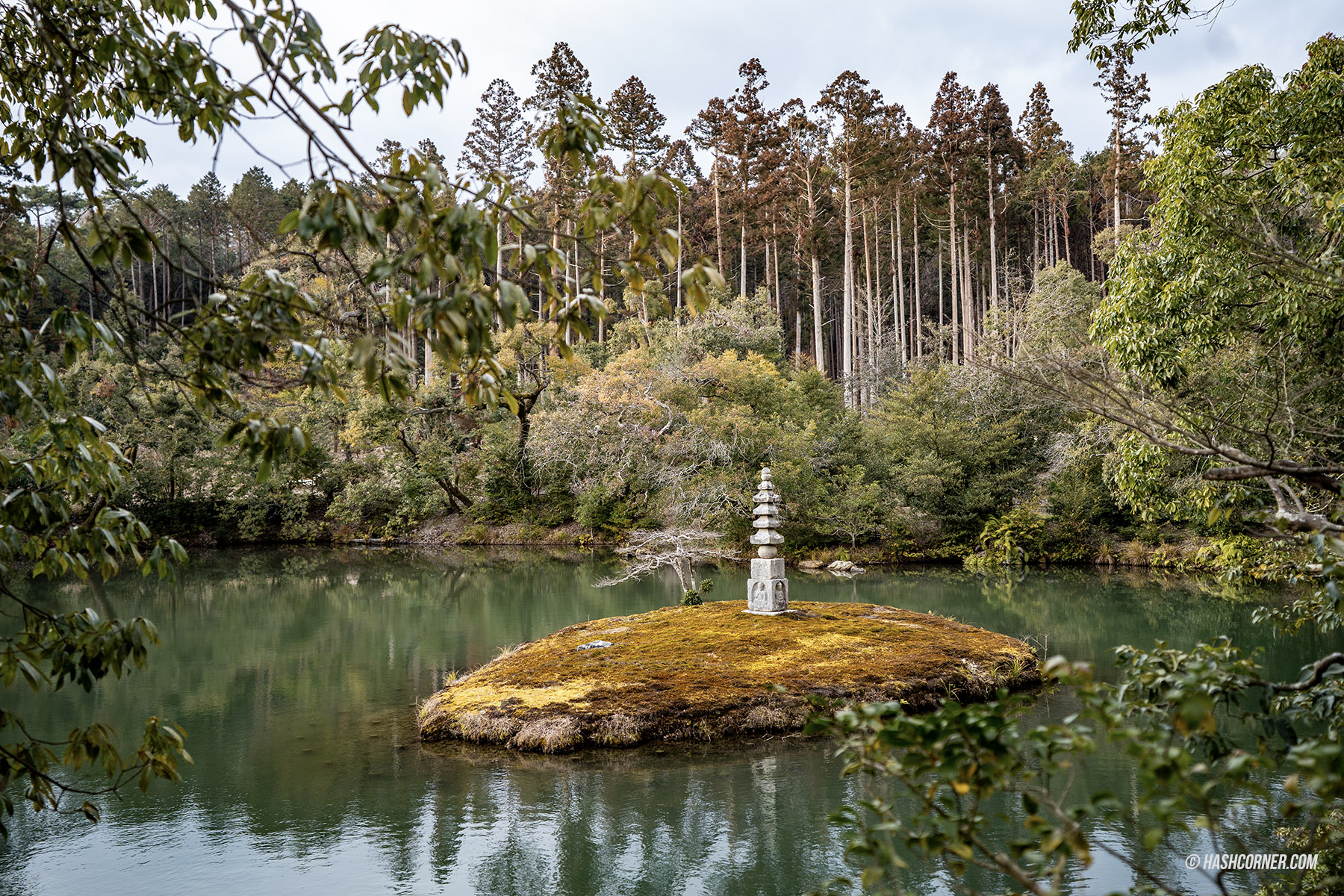 รีวิว เกียวโต (Kyoto) x ญี่ปุ่น เก็บครบ 26 ที่เที่ยว