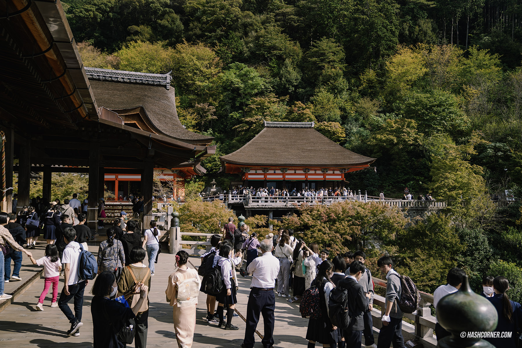 รีวิว เกียวโต (Kyoto) x ญี่ปุ่น เก็บครบ 26 ที่เที่ยว