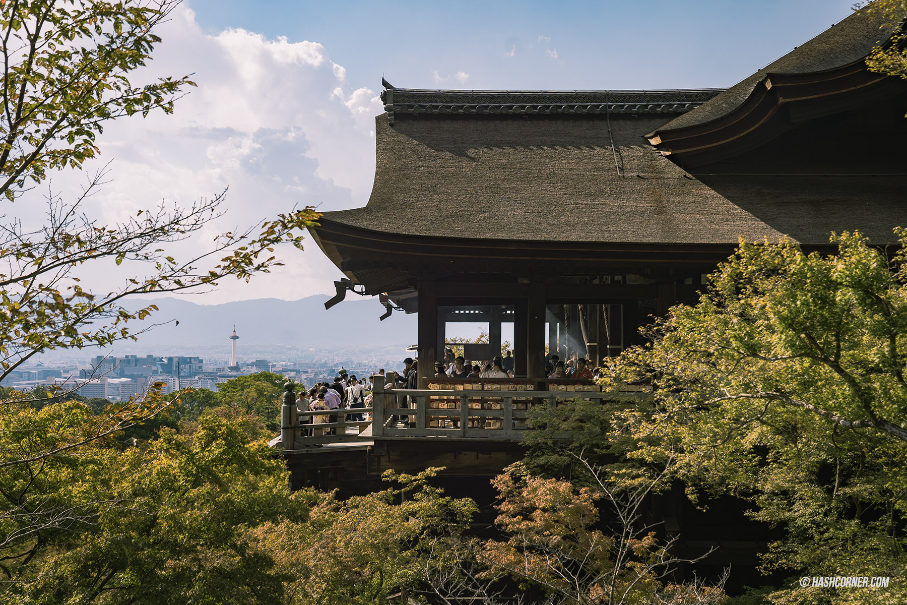 รีวิว เกียวโต (Kyoto) x ญี่ปุ่น เก็บครบ 26 ที่เที่ยว