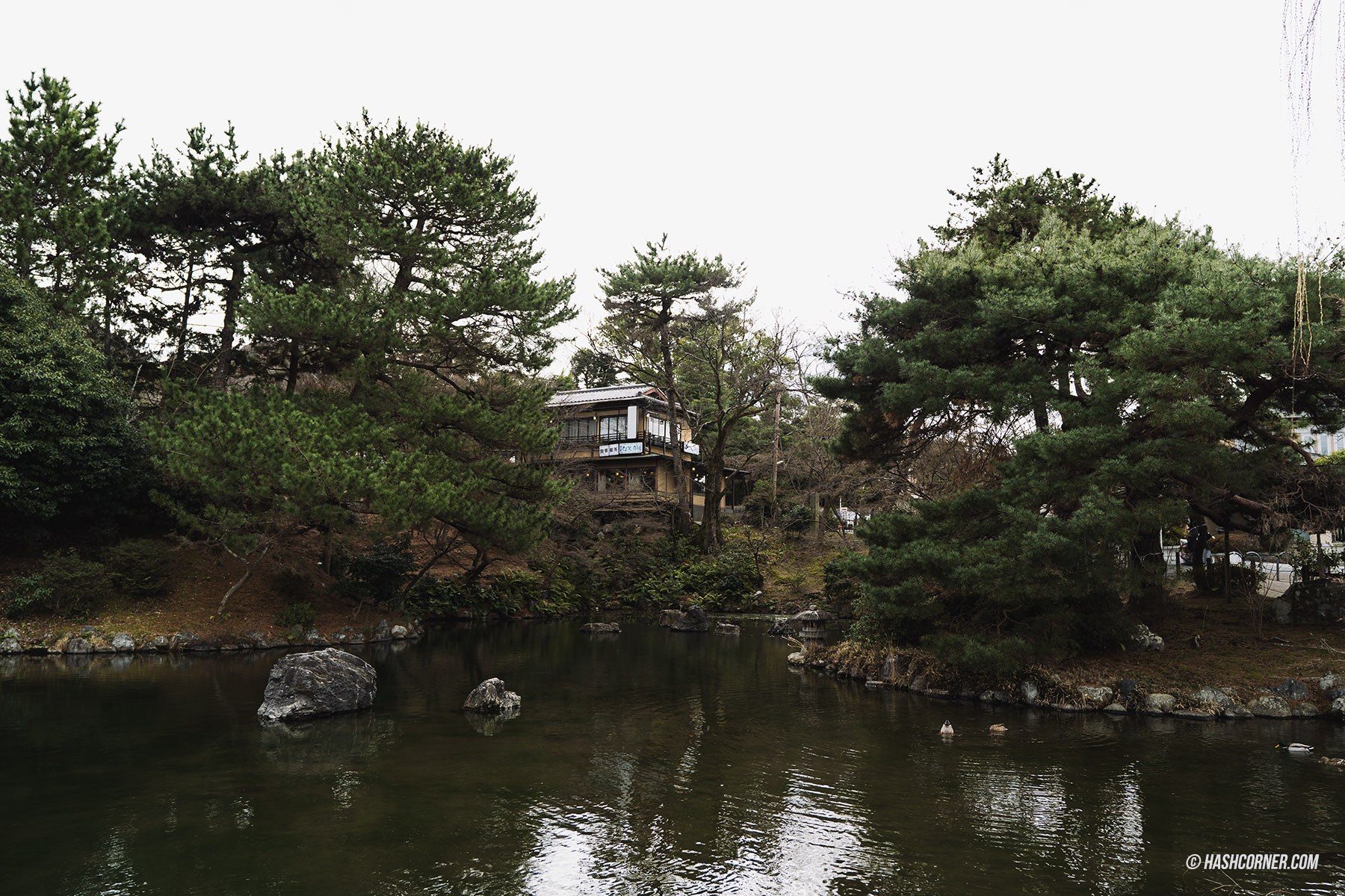 รีวิว เกียวโต (Kyoto) x ญี่ปุ่น เก็บครบ 26 ที่เที่ยว