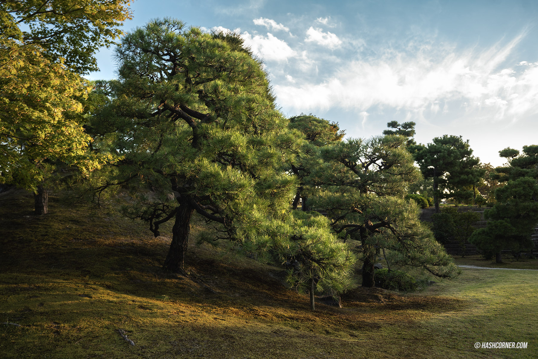 รีวิว เกียวโต (Kyoto) x ญี่ปุ่น เก็บครบ 26 ที่เที่ยว