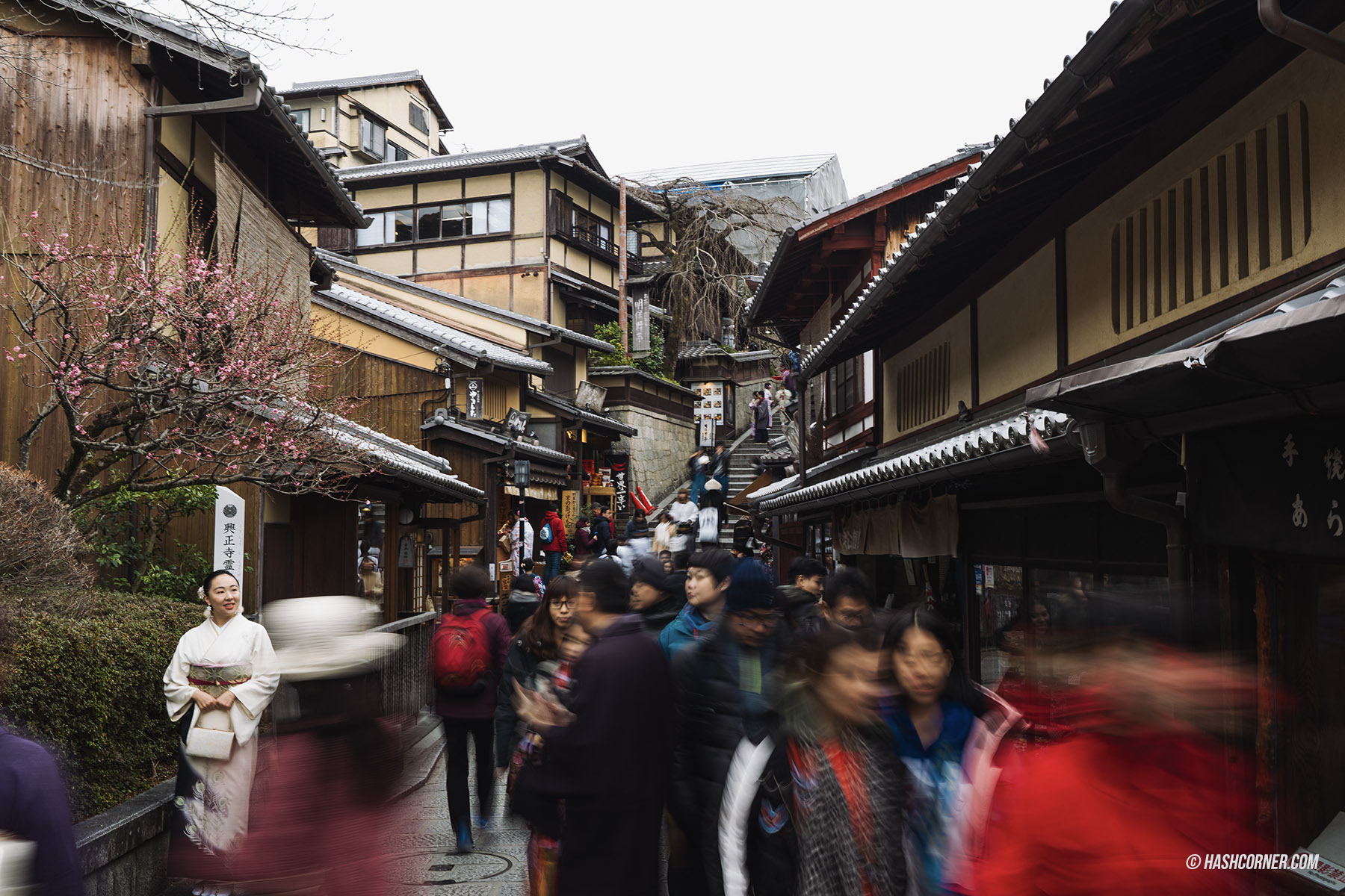 รีวิว เกียวโต (Kyoto) x ญี่ปุ่น เก็บครบ 26 ที่เที่ยว