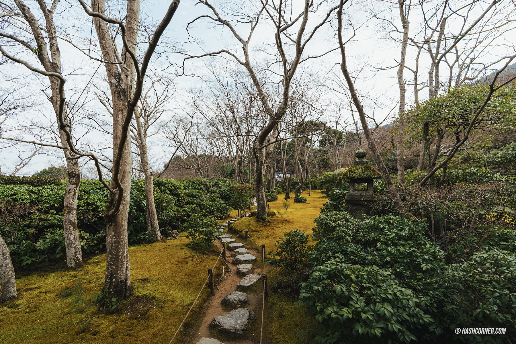 รีวิว เกียวโต (Kyoto) x ญี่ปุ่น เก็บครบ 26 ที่เที่ยว