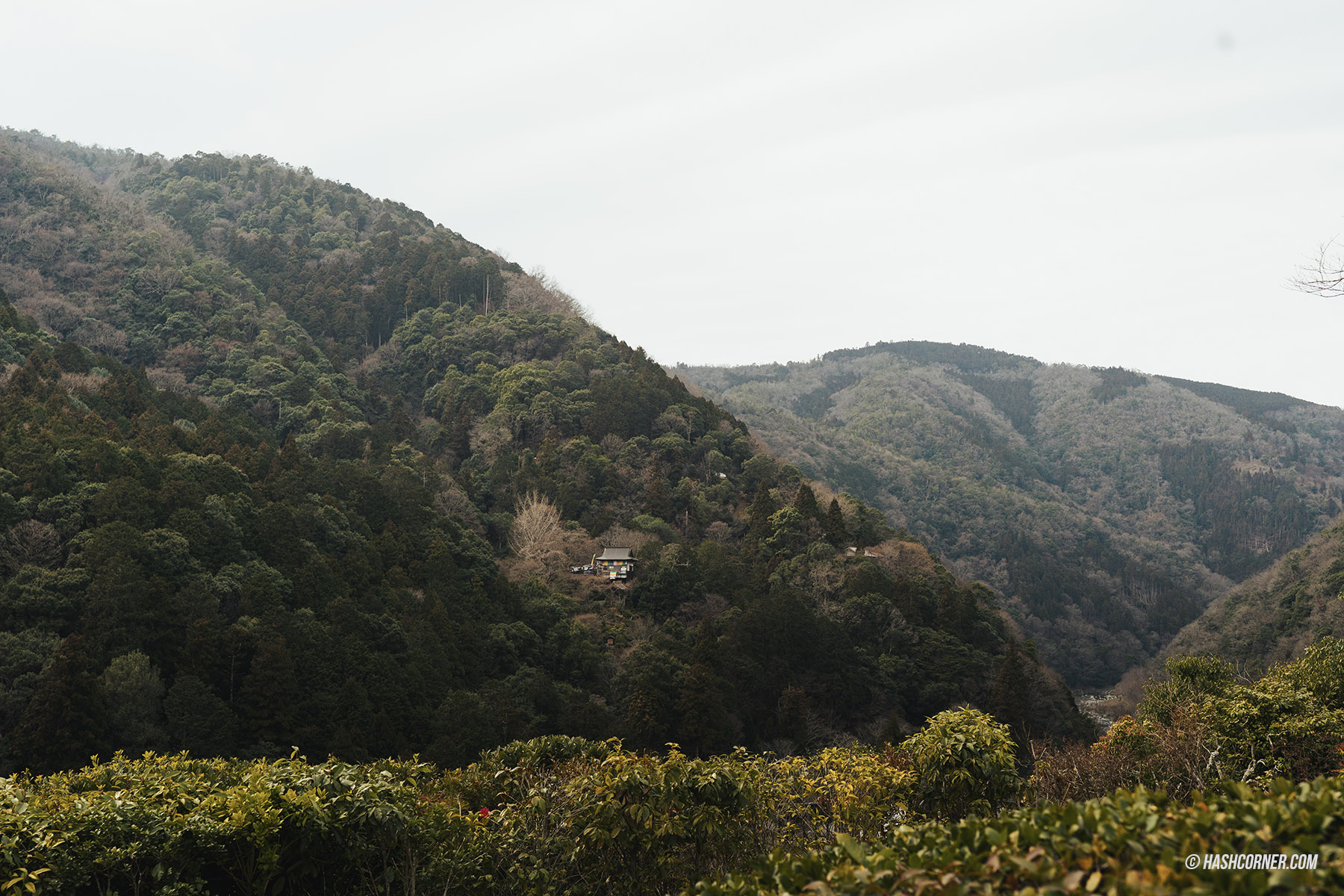 รีวิว เกียวโต (Kyoto) x ญี่ปุ่น เก็บครบ 26 ที่เที่ยว