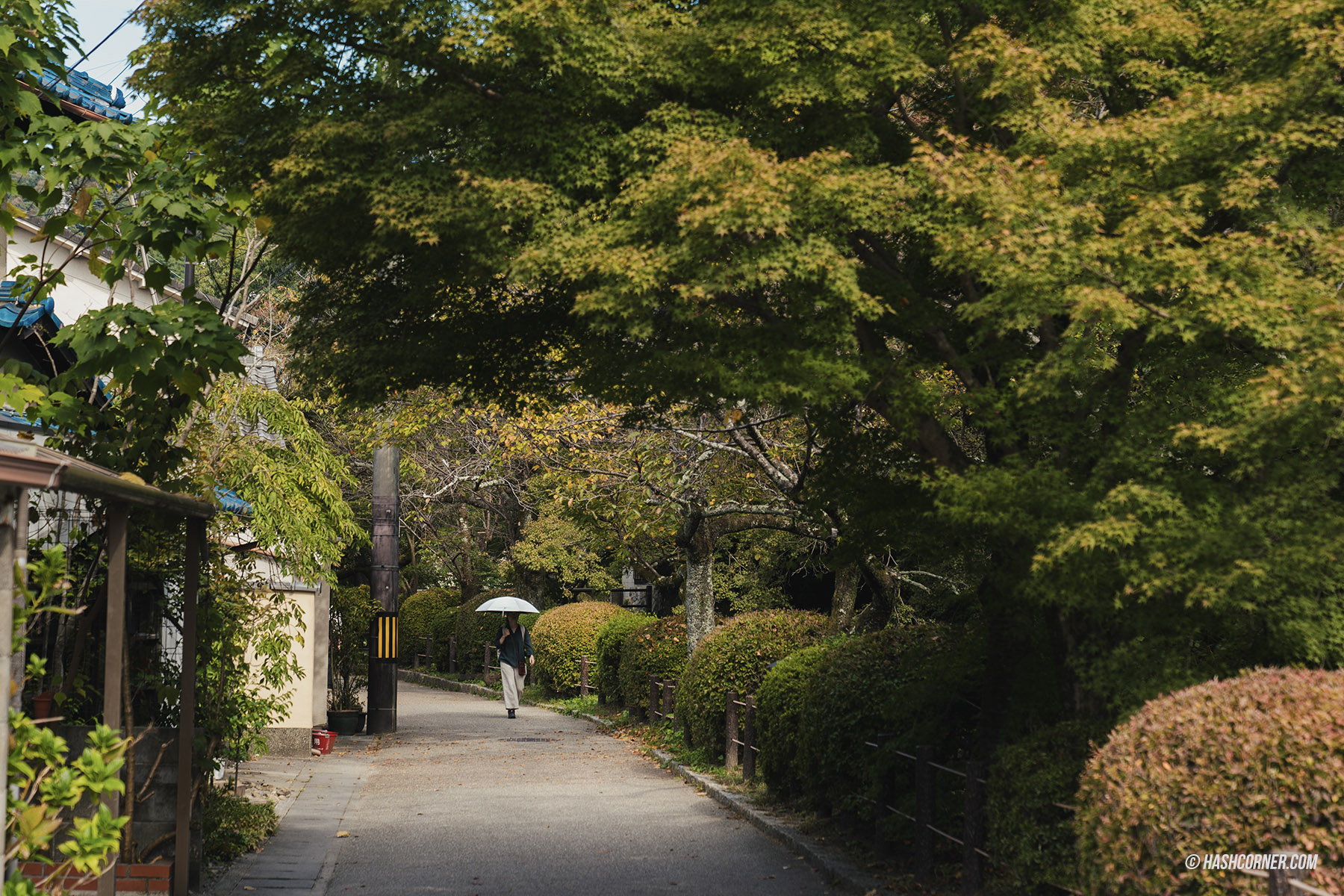 รีวิว เกียวโต (Kyoto) x ญี่ปุ่น เก็บครบ 26 ที่เที่ยว