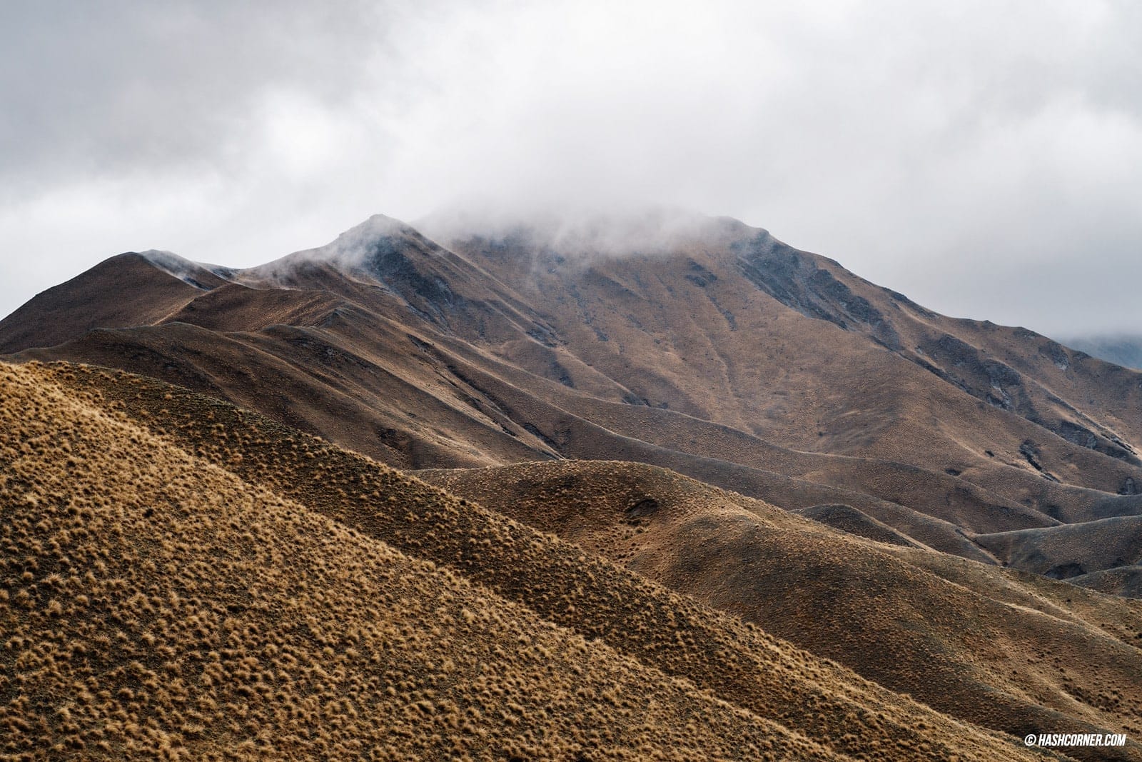 รีวิว ควีนส์ทาวน์ (Queenstown) ขับรถเที่ยวนิวซีแลนด์