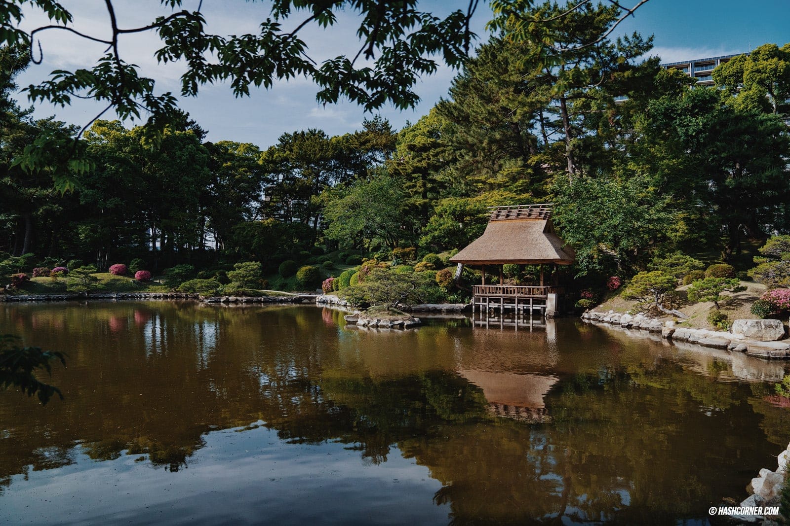 รีวิว ฮิโรชิม่า (Hiroshima) เที่ยวญี่ปุ่น เมืองสันติภาพ