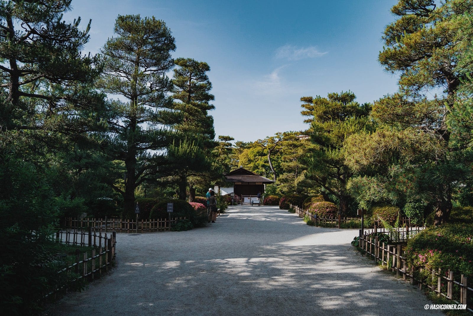 รีวิว ฮิโรชิม่า (Hiroshima) เที่ยวญี่ปุ่น เมืองสันติภาพ