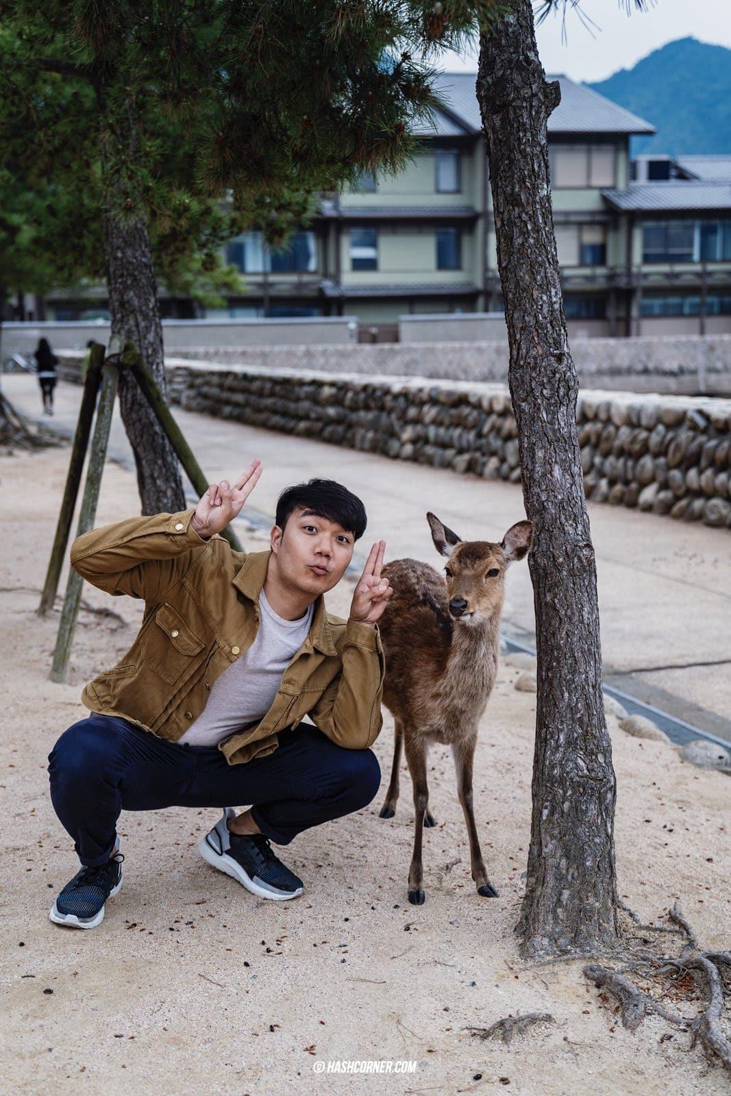 รีวิว เกาะมิยาจิม่า (Miyajima) x ฮิโรชิม่า เที่ยวญี่ปุ่น