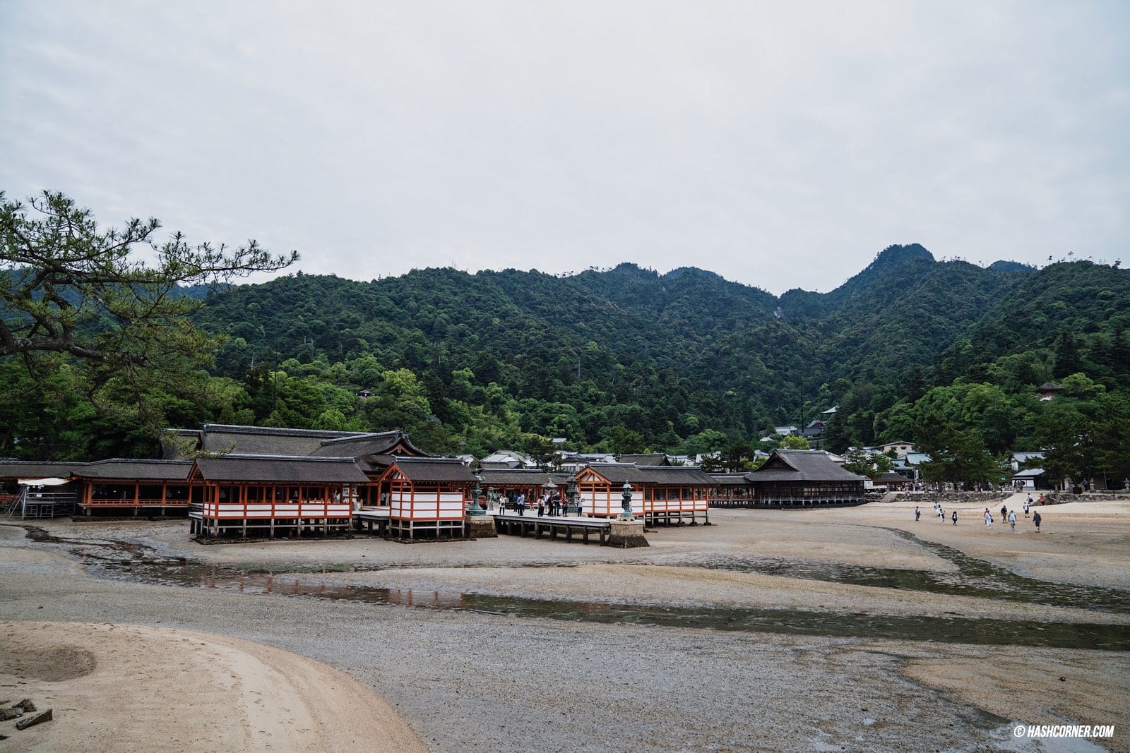 รีวิว เกาะมิยาจิม่า (Miyajima) x ฮิโรชิม่า เที่ยวญี่ปุ่น