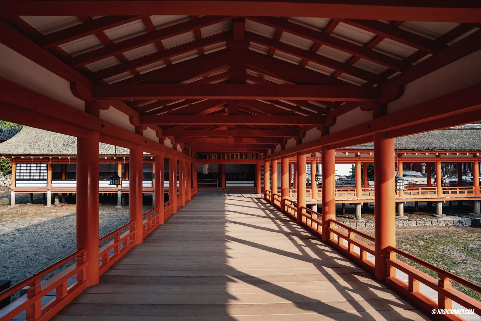 Miyajima Island Travel Review: Discovering The Iconic Torii Gate of Sacred Island