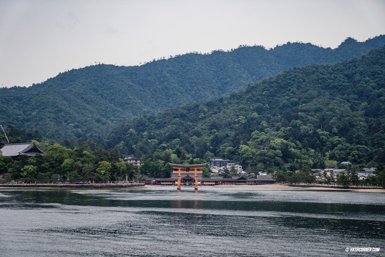 รีวิว เกาะมิยาจิม่า (Miyajima) x ฮิโรชิม่า เที่ยวญี่ปุ่น