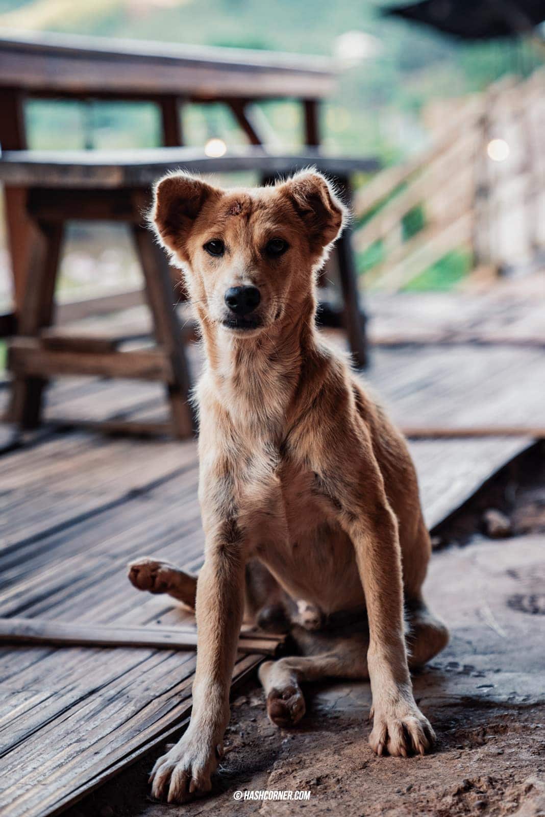 รีวิว บ้านสะปัน x น่าน : ความสงบโอบกอดด้วยภูเขา