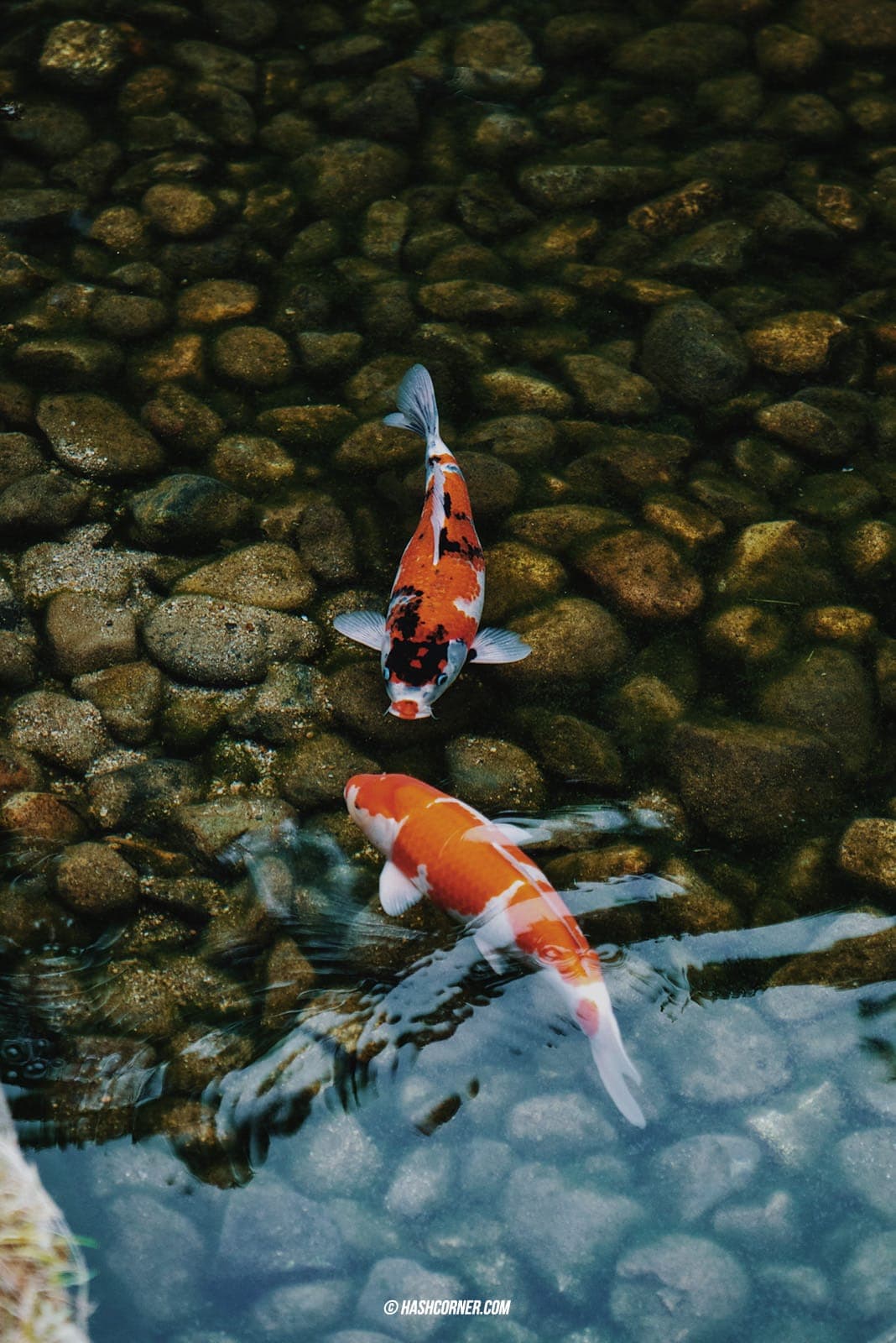 รีวิว โอคายาม่า x คุราชิกิ (Okayama-Kurashiki) เที่ยวญี่ปุ่น
