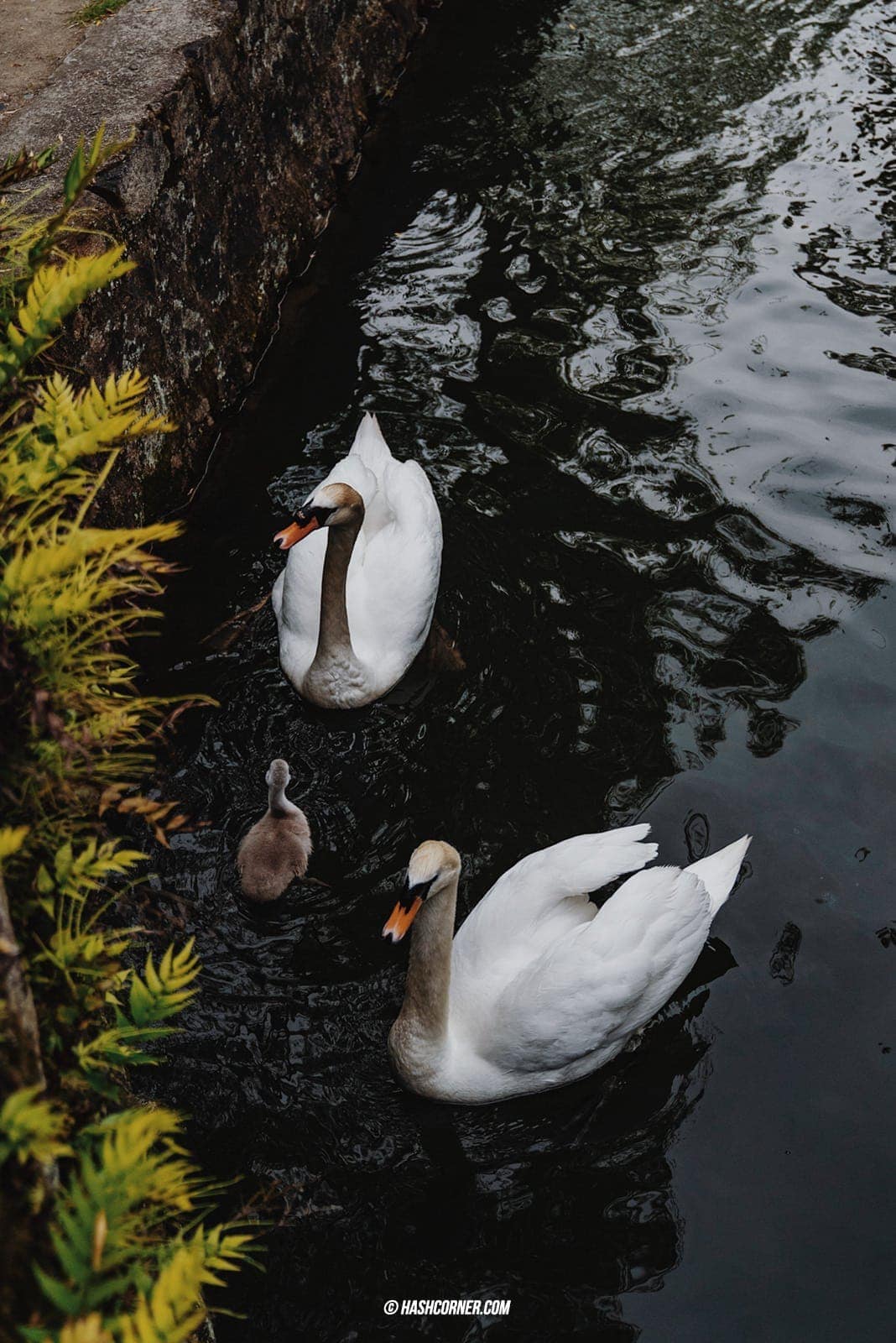 รีวิว โอคายาม่า x คุราชิกิ (Okayama-Kurashiki) เที่ยวญี่ปุ่น