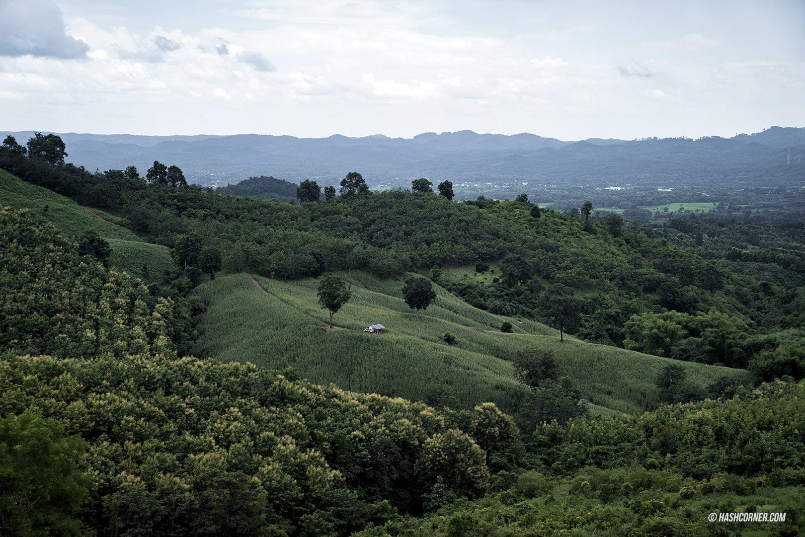 รีวิว น่าน: 27 ที่เที่ยวน่านสุดปัง! สะปัน-บ่อเกลือ-ปัว