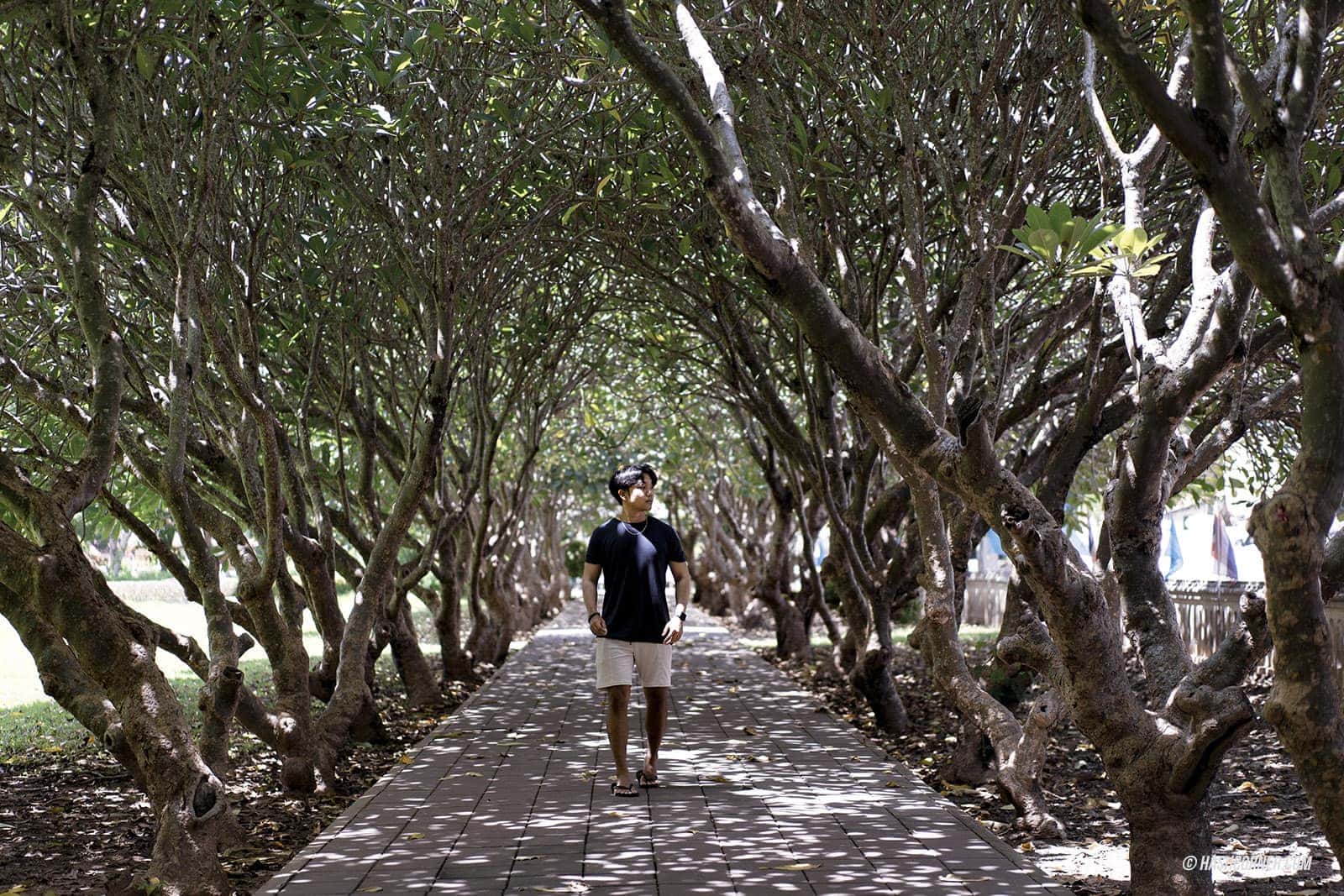 รีวิว น่าน: 27 ที่เที่ยวน่านสุดปัง! สะปัน-บ่อเกลือ-ปัว