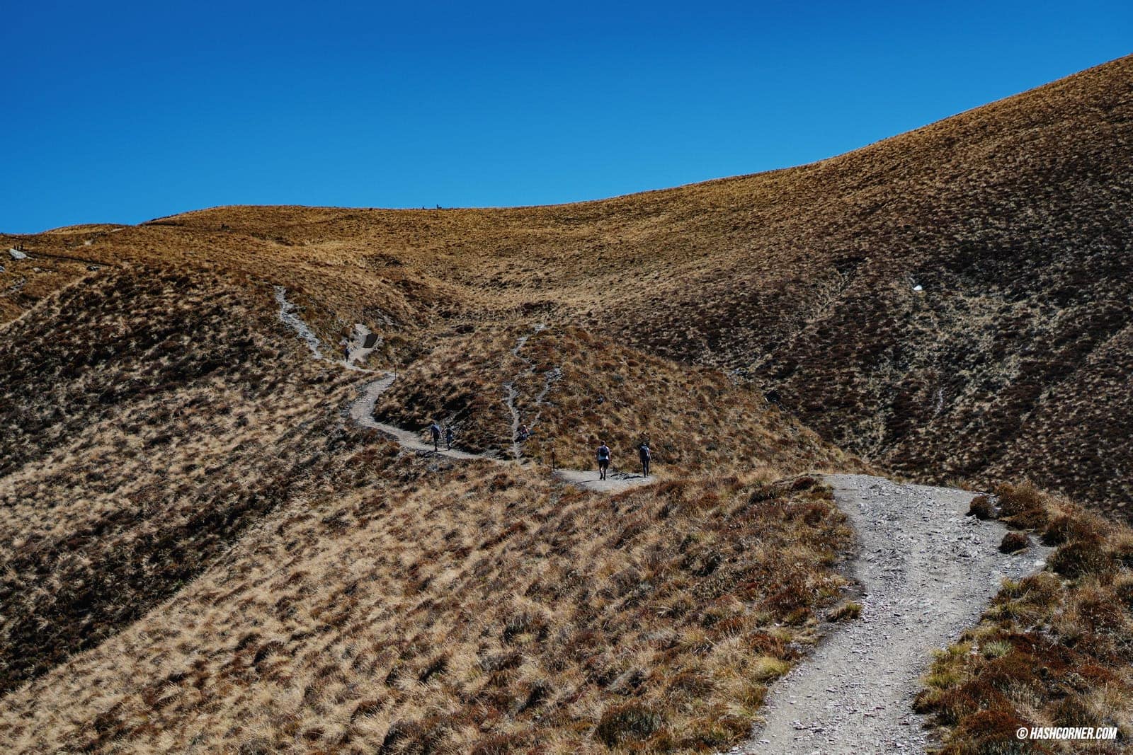 รีวิว ควีนส์ทาวน์ (Queenstown) ขับรถเที่ยวนิวซีแลนด์