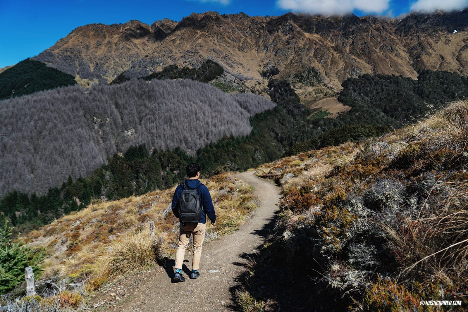 รีวิว ควีนส์ทาวน์ (Queenstown) ขับรถเที่ยวนิวซีแลนด์