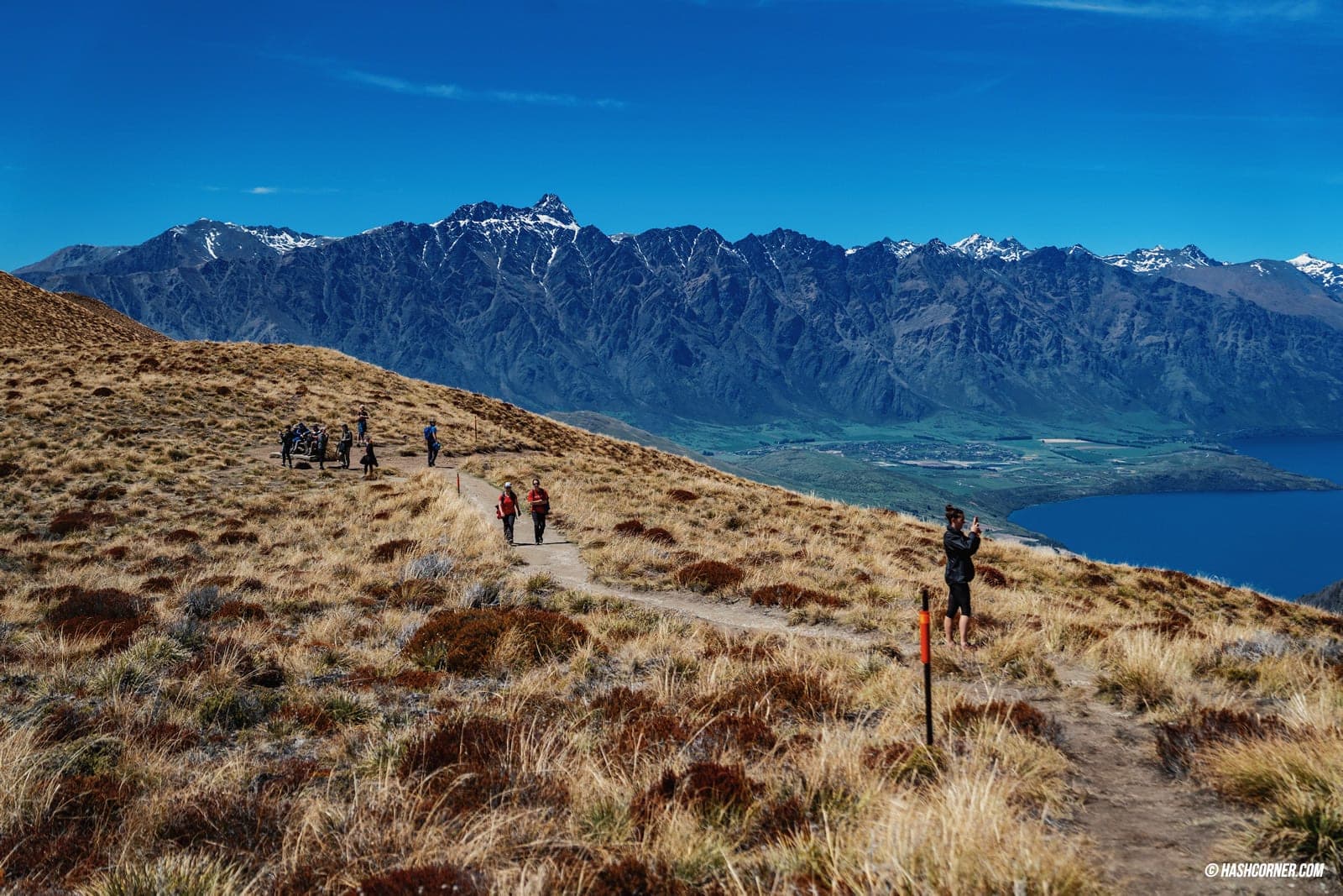 รีวิว ควีนส์ทาวน์ (Queenstown) ขับรถเที่ยวนิวซีแลนด์