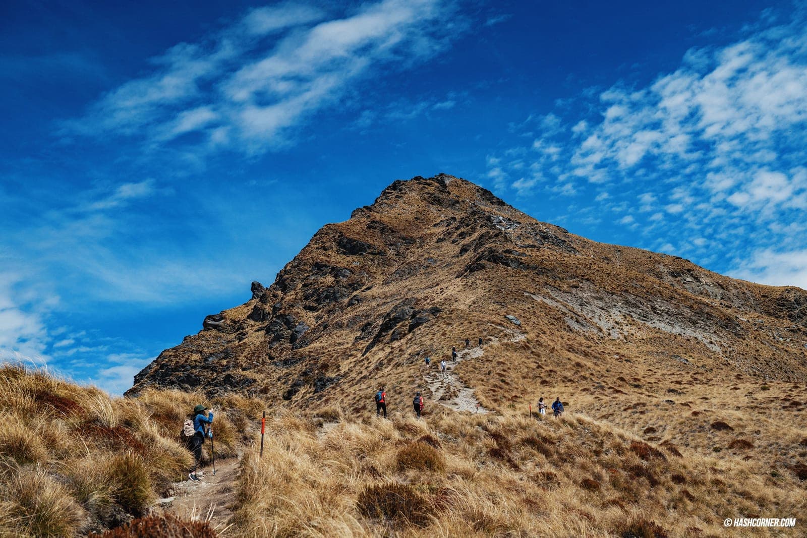 รีวิว ควีนส์ทาวน์ (Queenstown) ขับรถเที่ยวนิวซีแลนด์