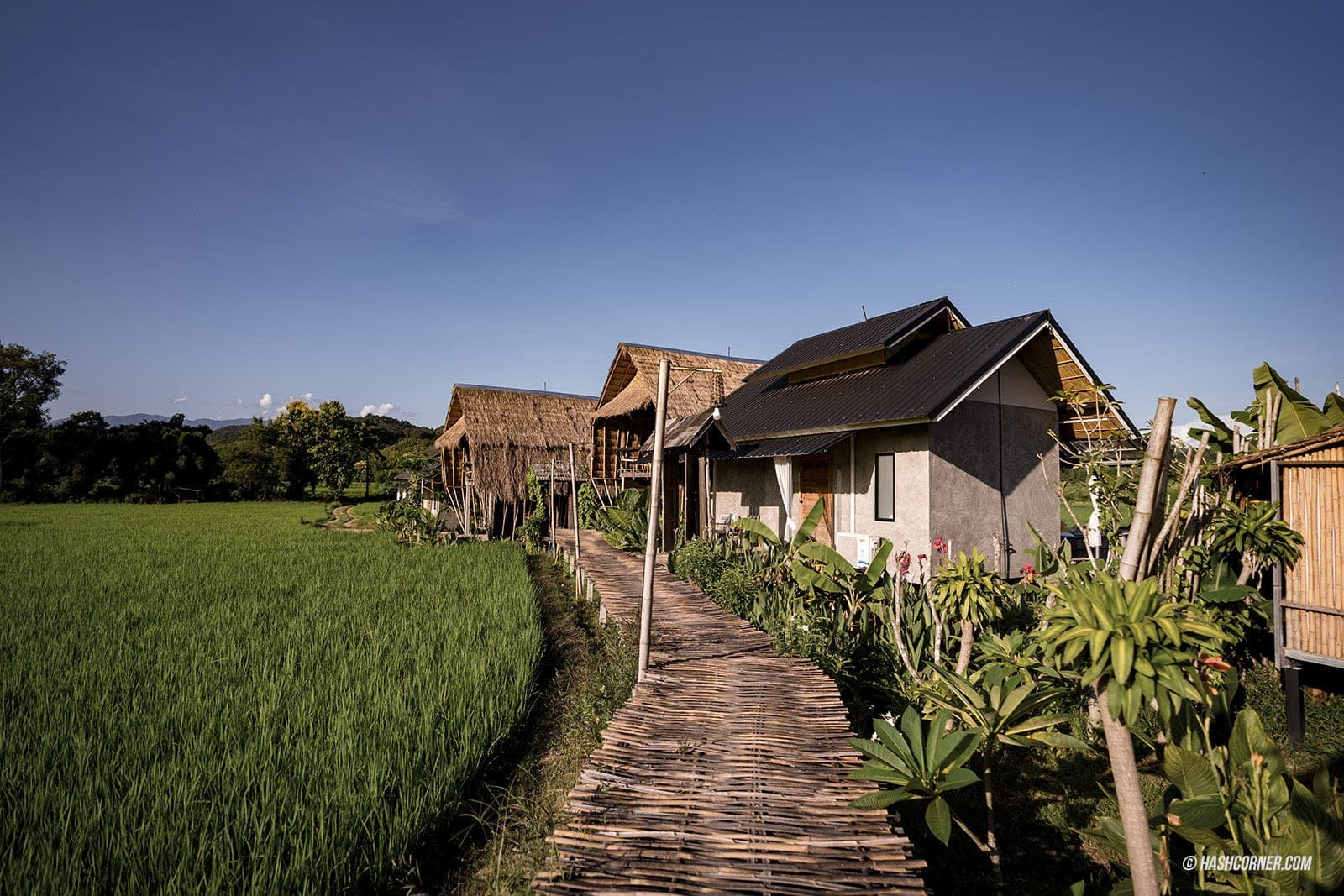 รีวิว สันติสุข x น่าน : ตามรอยกิ่วม่วงแคมป์-ศรีนาม่าน