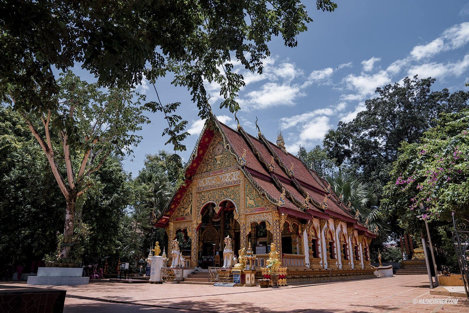 รีวิว น่าน: 27 ที่เที่ยวน่านสุดปัง! สะปัน-บ่อเกลือ-ปัว