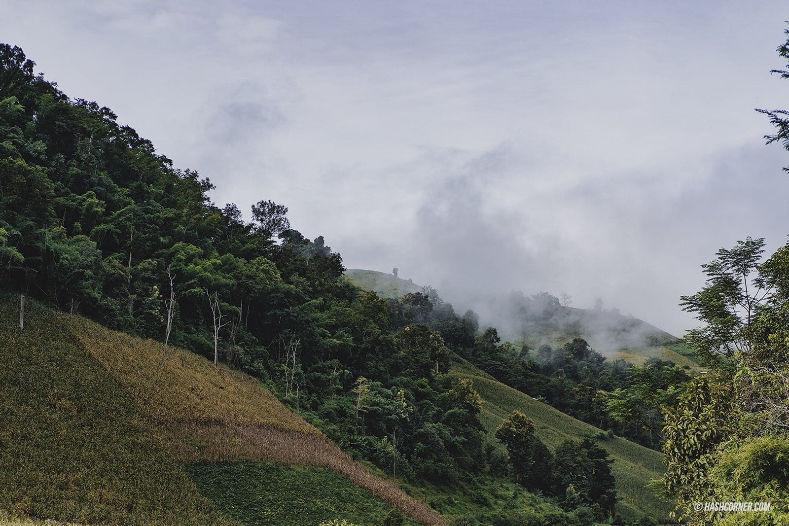 Mae Chaem, Chiang Mai: A Local’s In-depth Travel Review