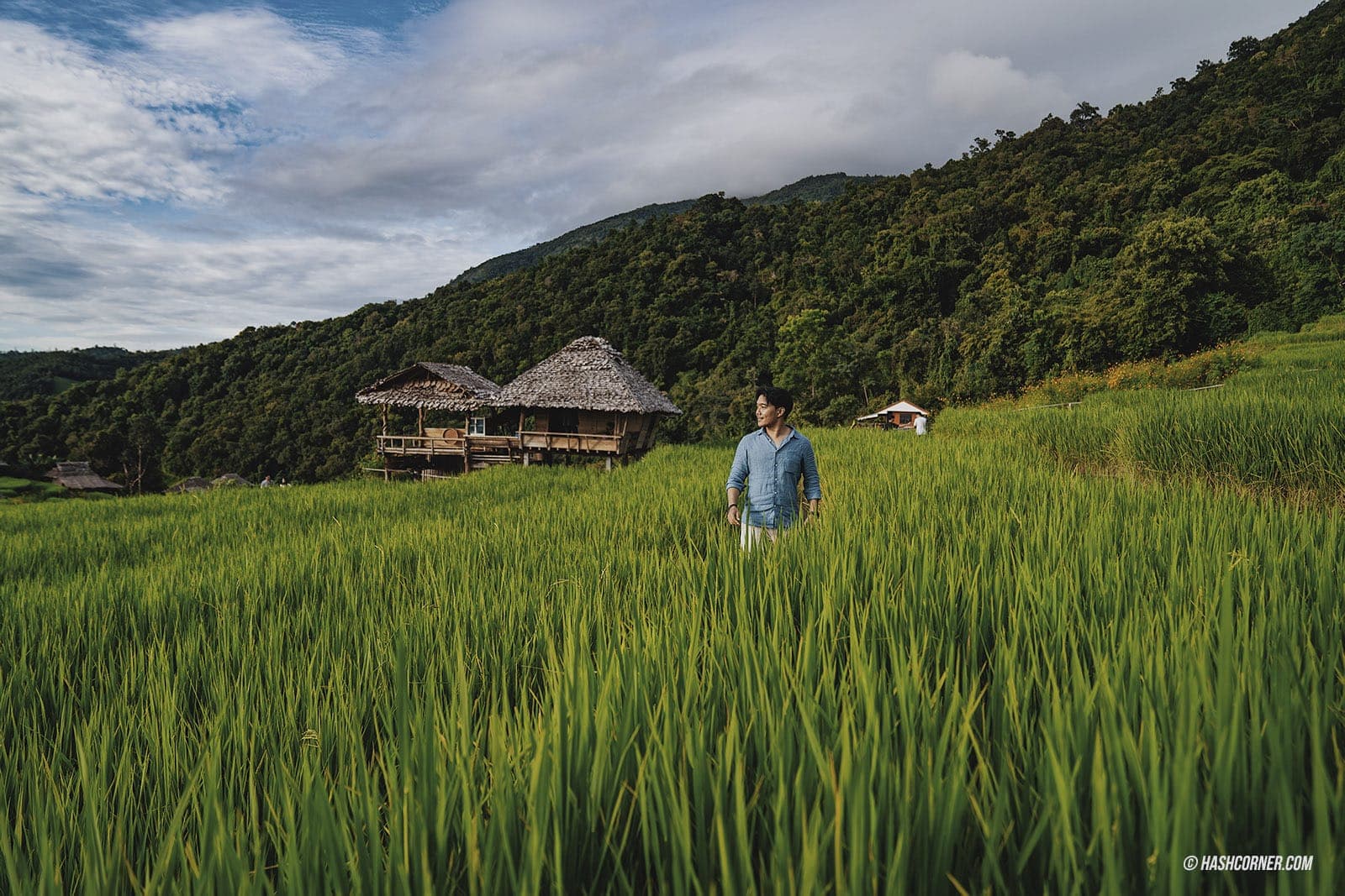 รีวิว ป่าบงเปียง x เชียงใหม่ นาขั้นบันไดที่สุดในไทย