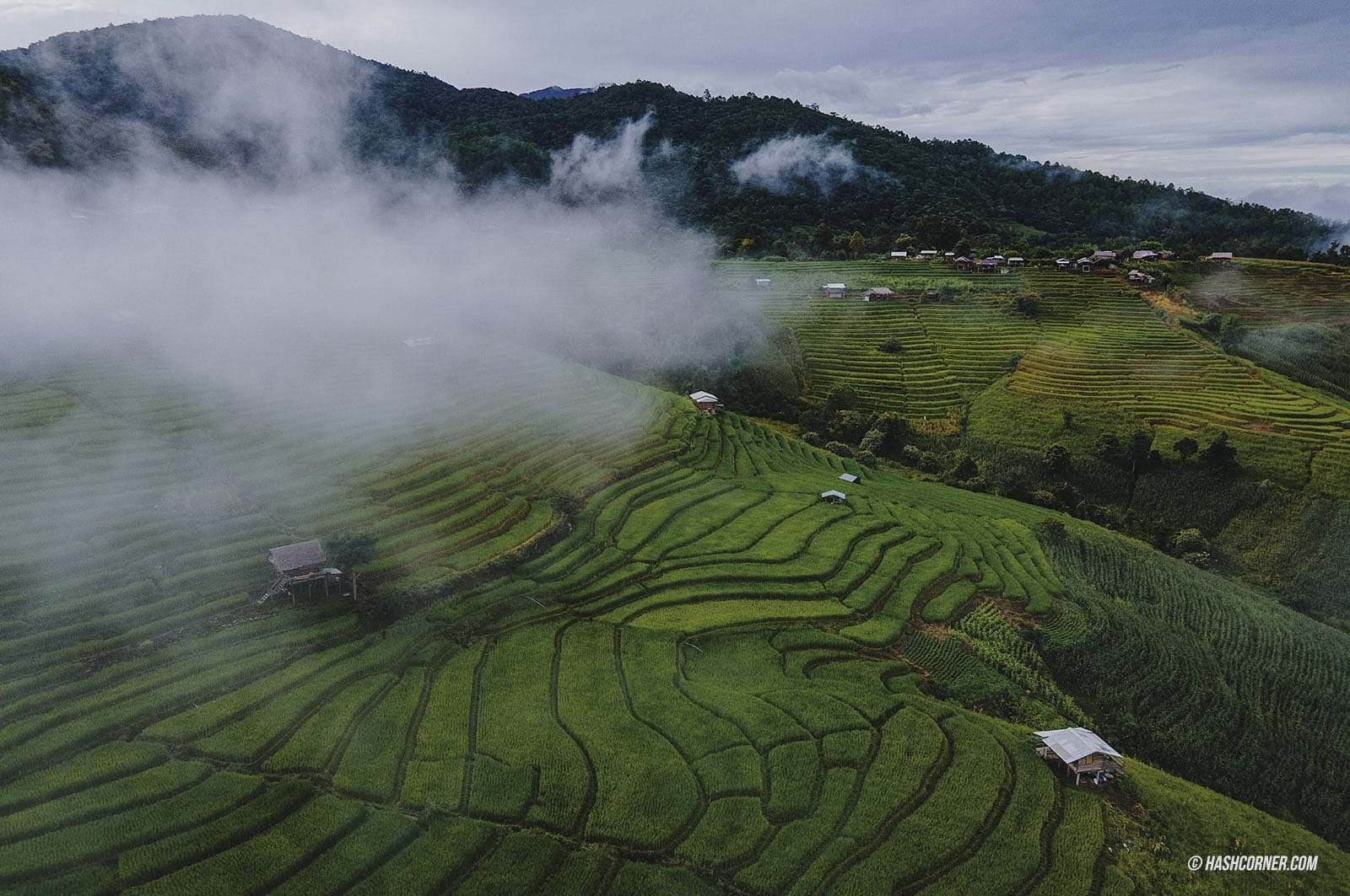 รีวิว ป่าบงเปียง x เชียงใหม่ นาขั้นบันไดที่สุดในไทย