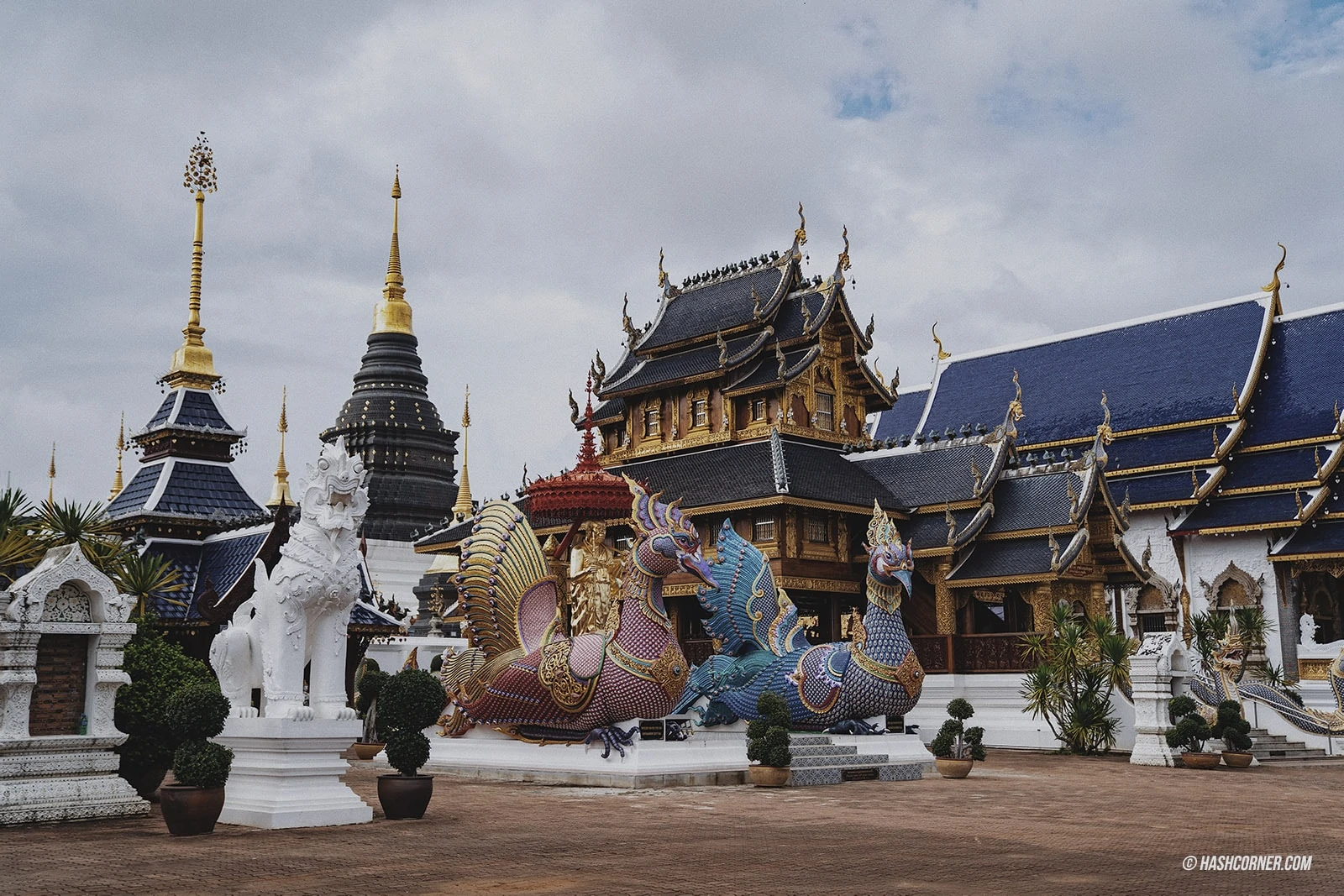 Mae Taeng, Chiang Mai: A Local&#8217;s In-depth Travel Review