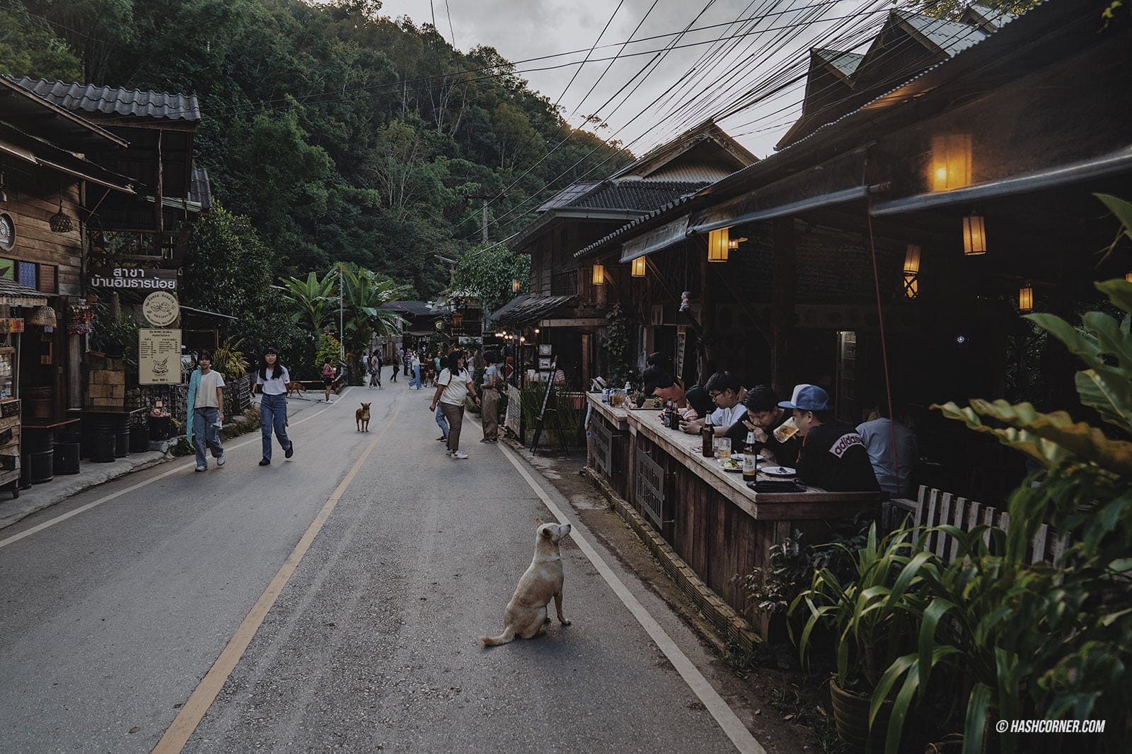 รีวิว แม่กำปอง x เชียงใหม่ หมู่บ้านอบอุ่นในหุบเขา