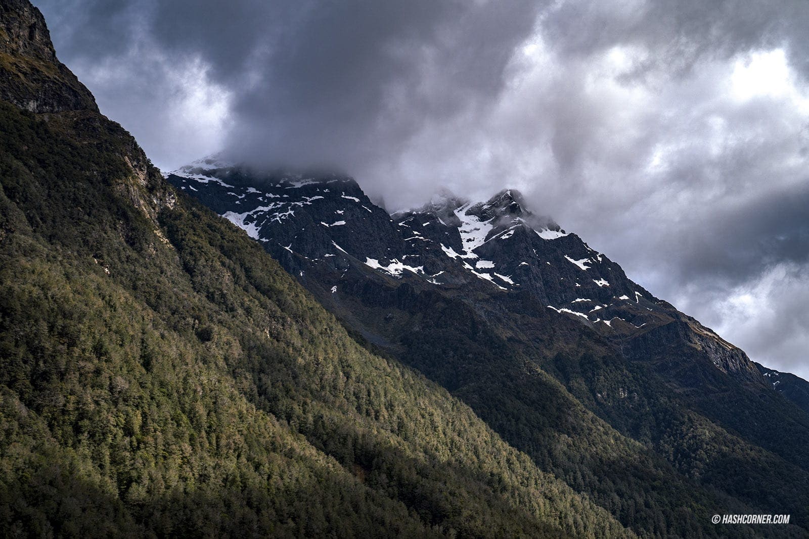 รีวิว ฟยอร์ดแลนด์-มิลฟอร์ดซาวด์ (Fiordland-Milford Sound) x นิวซีแลนด์ เกาะใต้