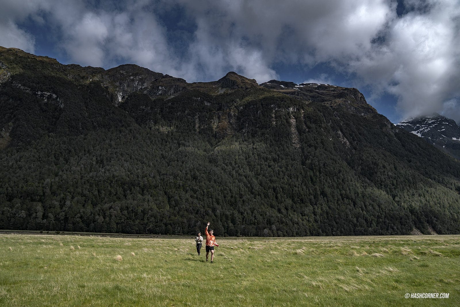 รีวิว ฟยอร์ดแลนด์-มิลฟอร์ดซาวด์ (Fiordland-Milford Sound) x นิวซีแลนด์ เกาะใต้