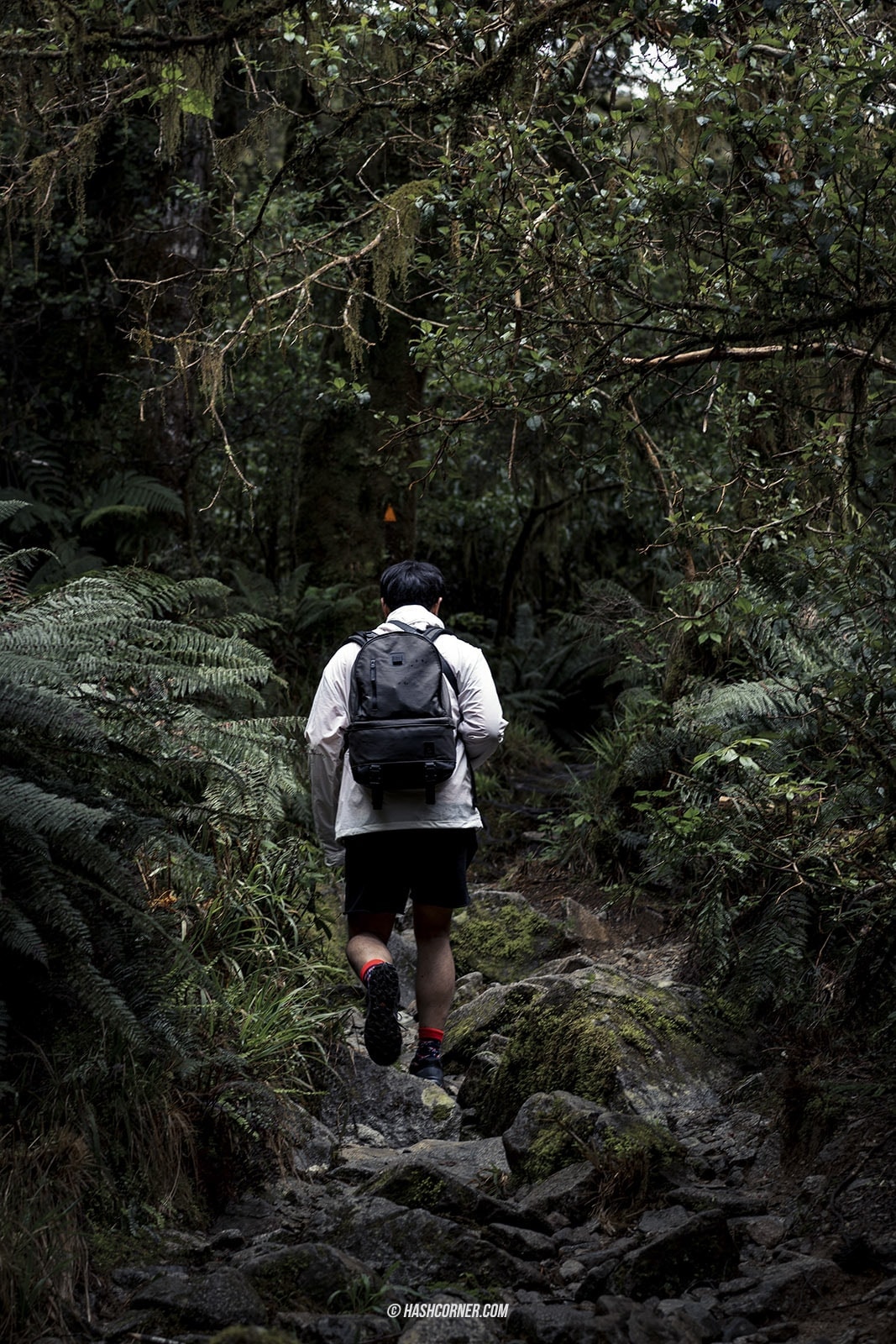 รีวิว ฟยอร์ดแลนด์-มิลฟอร์ดซาวด์ (Fiordland-Milford Sound) x นิวซีแลนด์ เกาะใต้