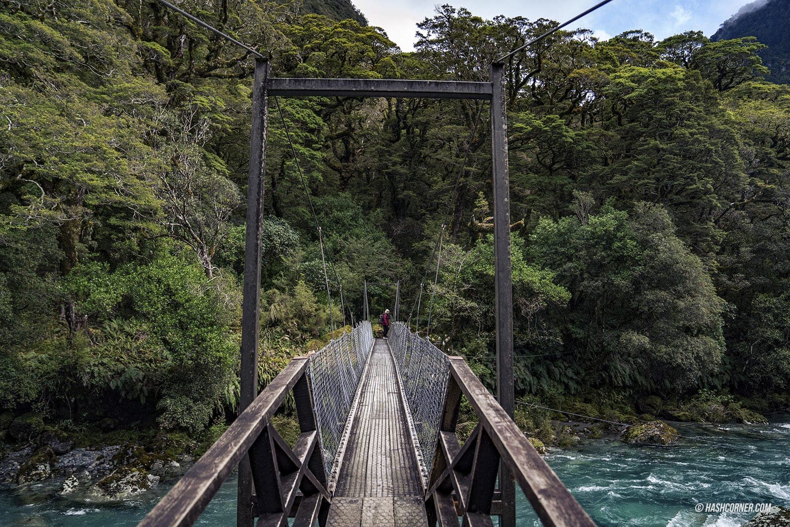 รีวิว ฟยอร์ดแลนด์-มิลฟอร์ดซาวด์ (Fiordland-Milford Sound) x นิวซีแลนด์ เกาะใต้