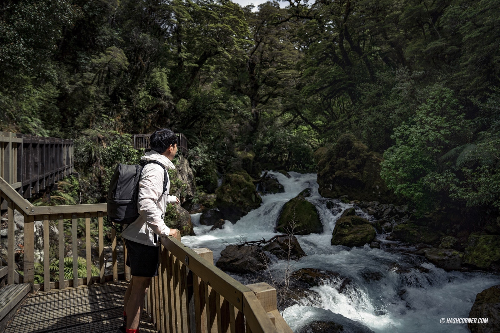 รีวิว ฟยอร์ดแลนด์-มิลฟอร์ดซาวด์ (Fiordland-Milford Sound) x นิวซีแลนด์ เกาะใต้