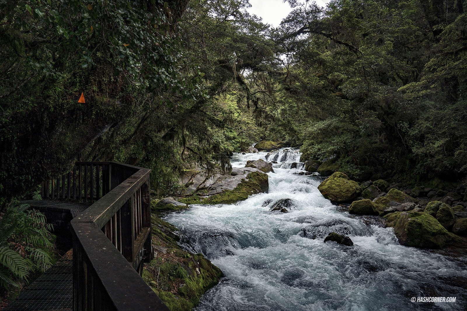 รีวิว ฟยอร์ดแลนด์-มิลฟอร์ดซาวด์ (Fiordland-Milford Sound) x นิวซีแลนด์ เกาะใต้