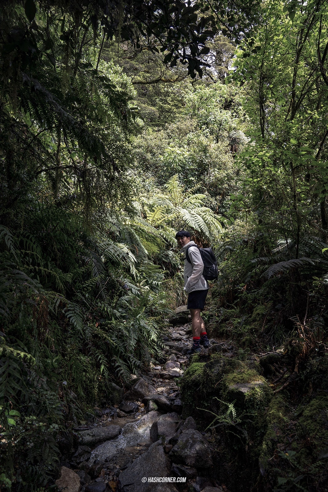 รีวิว ฟยอร์ดแลนด์-มิลฟอร์ดซาวด์ (Fiordland-Milford Sound) x นิวซีแลนด์ เกาะใต้